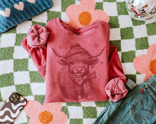 Highland Winter Cutie