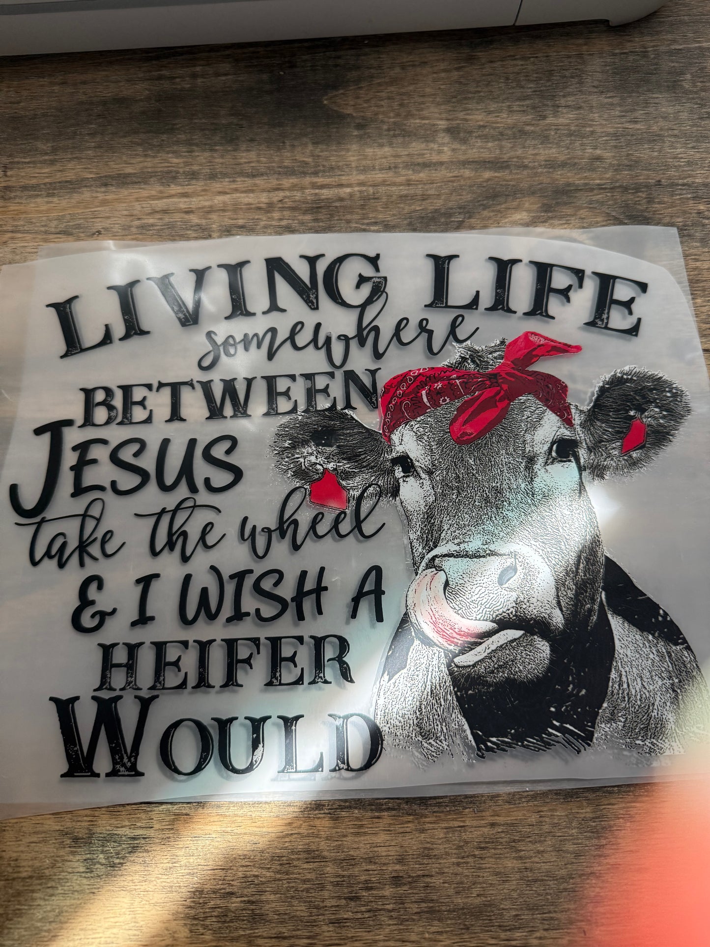 Adult/Sarcastic Transfers